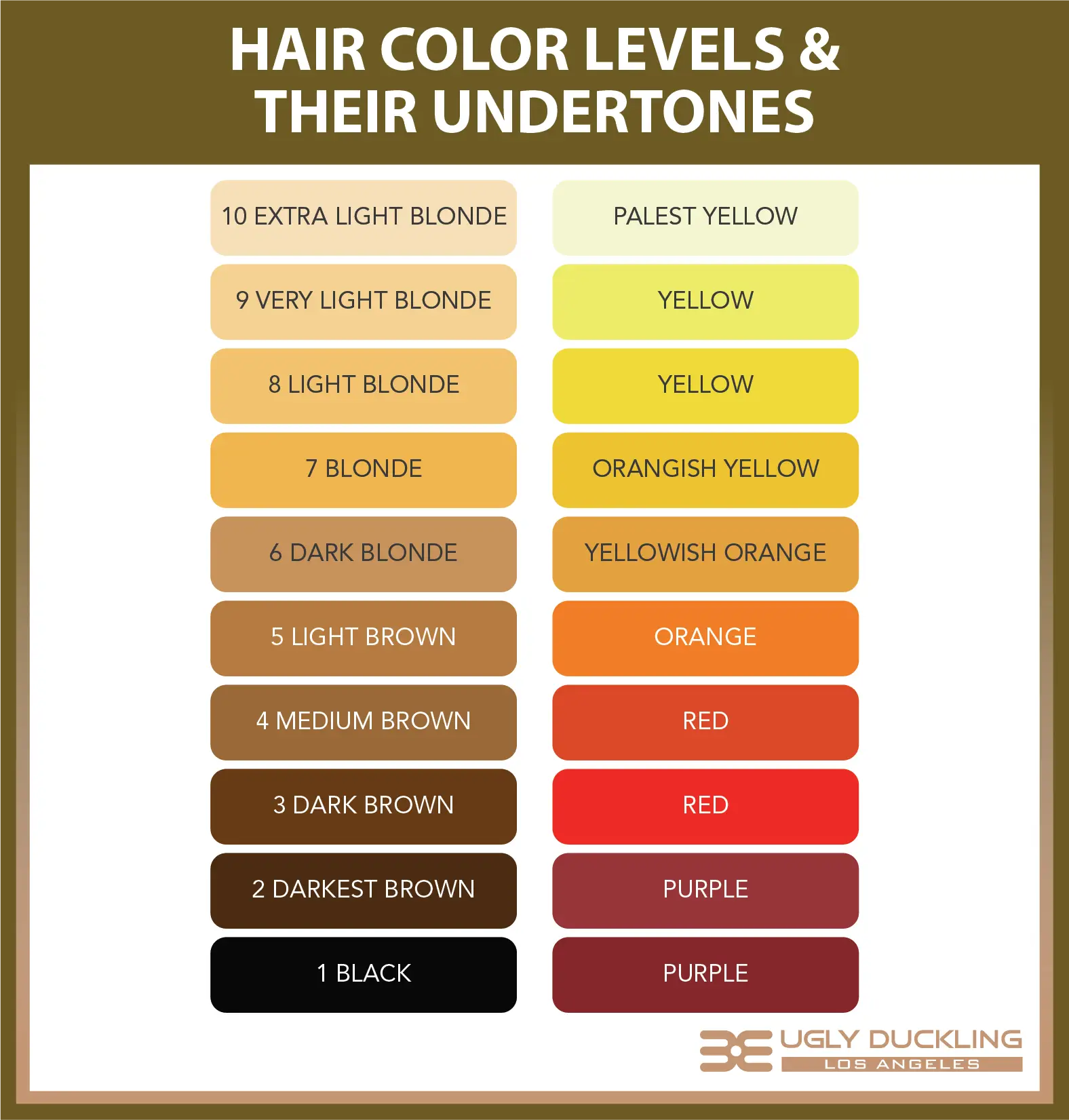 How The Color Wheel Really Works Hair Stylists Guide Ugly Duckling 2834